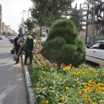 کاشت گل‌های فصلی در خیابان ولیعصر (عج)