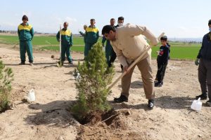 گزارش تصویری مراسم روز درختکاری در پارک جنگلی شهر صالحیه