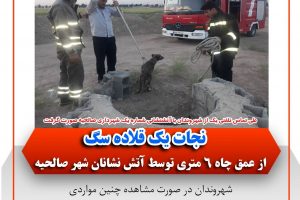 نجات یک قلاده سگ از عمق چاه ۶ متری توسط آتش نشانان شهر صالحیه