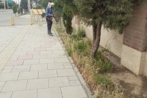 بازپیرایی فضای سبز بوستان‌های سطح شهر صالحیه