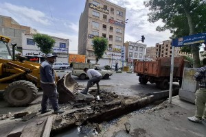 اصلاح و نوسازی پل ورودی کوچه بوستان ششم