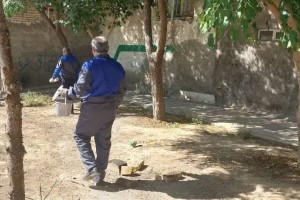  آغاز دور جدید طرح طعمه‌گذاری و مبارزه با حیوانات موذی در شهر صالحیه