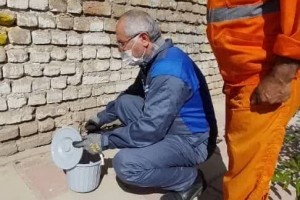  آغاز دور جدید طرح طعمه‌گذاری و مبارزه با حیوانات موذی در شهر صالحیه