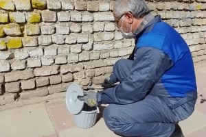  آغاز دور جدید طرح طعمه‌گذاری و مبارزه با حیوانات موذی در شهر صالحیه