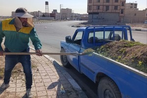 اقدامات تازه اداره سیما، منظر و فضای سبز شهرداری صالحیه برای بهبود کیفیت محیط شهری