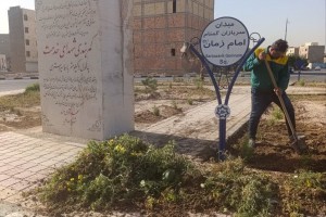 اقدامات تازه اداره سیما، منظر و فضای سبز شهرداری صالحیه برای بهبود کیفیت محیط شهری