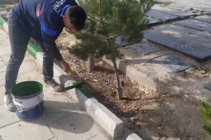 رنگ‌آمیزی و زیباسازی جداول آرامستان بهشت فاطمه (س)