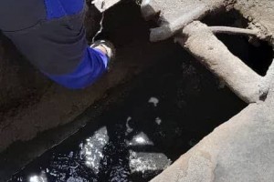 تداوم عملیات طعمه‌گذاری موش و حیوانات موذی در سطح شهر صالحیه