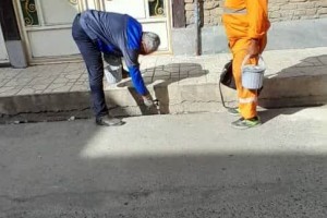 تداوم عملیات طعمه‌گذاری موش و حیوانات موذی در سطح شهر صالحیه
