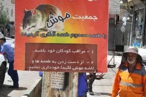 تداوم عملیات طعمه‌گذاری موش و حیوانات موذی در سطح شهر صالحیه