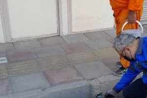 تداوم عملیات طعمه‌گذاری موش و حیوانات موذی در سطح شهر صالحیه