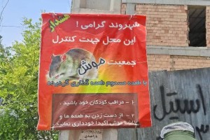 ادامه روند اجرای طرح طعمه‌گذاری موش‌ها و حیوانات موذی در سطح شهر صالحیه