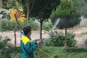  سمپاشی و بازپیرایی فضاهای سبز بوستان‌ها