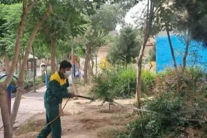  سمپاشی و بازپیرایی فضاهای سبز بوستان‌ها