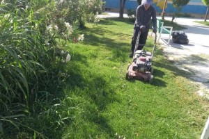  سمپاشی و بازپیرایی فضاهای سبز بوستان‌ها