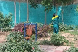  سمپاشی و بازپیرایی فضاهای سبز بوستان‌ها