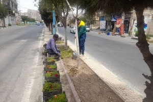  کاشت گل‌های فصلی در رفیوژ میانی بلوار ولیعصر(عج)