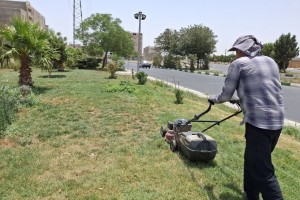 بازپیرایی و چمنزنی فضاهای سبز شهر؛ ارتقاء زیبایی و کیفیت فضای سبز
