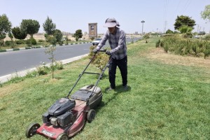 بازپیرایی و چمنزنی فضاهای سبز شهر؛ ارتقاء زیبایی و کیفیت فضای سبز