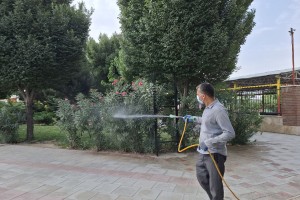 اجرای عملیات سم‌پاشی درختان بوستان‌ها برای ارتقای سلامت و شادابی فضای سبز