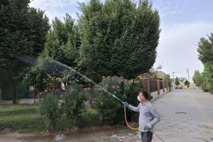 اجرای عملیات سم‌پاشی درختان بوستان‌ها برای ارتقای سلامت و شادابی فضای سبز