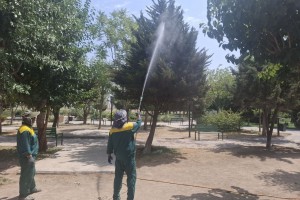 عملیات سمپاشی فضای سبز بوستان ها ادامه دارد