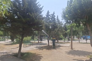 عملیات سمپاشی فضای سبز بوستان ها ادامه دارد