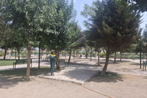 عملیات سمپاشی فضای سبز بوستان ها ادامه دارد