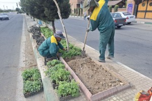  گلکاری بلوار ولیعصر(عج) به همت کارکنان زحمتکش فضای سبز