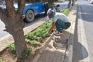  گلکاری بلوار ولیعصر(عج) به همت کارکنان زحمتکش فضای سبز