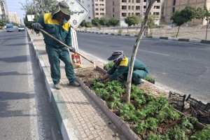  گلکاری بلوار ولیعصر(عج) به همت کارکنان زحمتکش فضای سبز