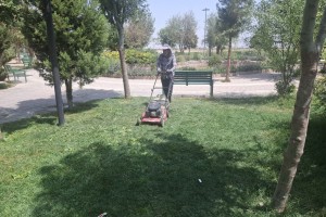 عملیات بازپیرایی چمن بوستان لاله صالحیه انجام شد