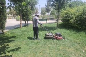 عملیات بازپیرایی چمن بوستان لاله صالحیه انجام شد