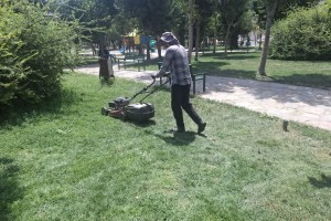 عملیات بازپیرایی چمن بوستان لاله صالحیه انجام شد
