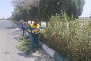 فضای سبز بلوار ولیعصر(عج) بازپیرایی شد!