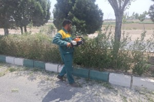 فضای سبز بلوار ولیعصر(عج) بازپیرایی شد!