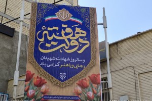  چهره شهر صالحیه به رنگ هفته دولت درآمد