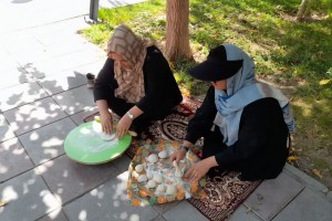 رزمایش سراسری پایگاه‌های مقاومت بسیج صالحیه با همکاری پارک بانوان ریحانه برگزار شد  
