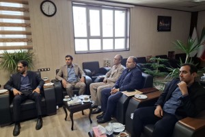 تقویت تعاملات شهری و دولتی در هفته دولت؛ دیدار مدیریت شهری صالحیه با فرماندار بهارستان