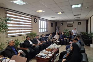 تقویت تعاملات شهری و دولتی در هفته دولت؛ دیدار مدیریت شهری صالحیه با فرماندار بهارستان