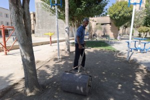 بازپیرایی پاییزه بوستان‌های صالحیه؛ ضرورت حفظ سرمایه سبز شهری   