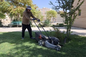 بازپیرایی پاییزه بوستان‌های صالحیه؛ ضرورت حفظ سرمایه سبز شهری   