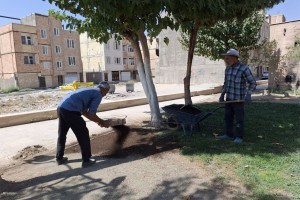 بازپیرایی پاییزه بوستان‌های صالحیه؛ ضرورت حفظ سرمایه سبز شهری   