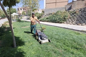 بازپیرایی پاییزه بوستان‌های صالحیه؛ ضرورت حفظ سرمایه سبز شهری   