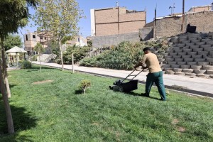 بازپیرایی پاییزه بوستان‌های صالحیه؛ ضرورت حفظ سرمایه سبز شهری   
