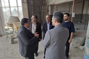 بازدید میدانی شهردار و شورای اسلامی صالحیه از پروژه‌های سالن اجلاس و مجتمع تجاری-ورزشی