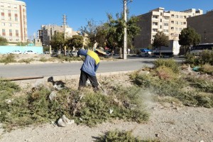  پاکسازی گیاهان خودرو و علف‌های هرز در حاشیه خیابان ولیعصر(عج)