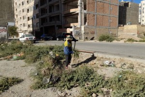  پاکسازی گیاهان خودرو و علف‌های هرز در حاشیه خیابان ولیعصر(عج)