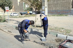 ترمیم و بازسازی جداول کناری خیابان ولیعصر(عج)