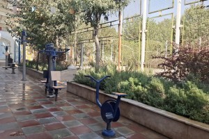 شاداب‌سازی محیطی پارک بانوان ریحانه با هدف ارتقای نشاط اجتماعی